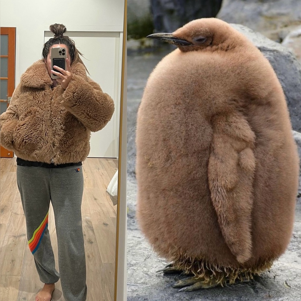 The Arrivals Fur Jacket 🐻 - Picture 4 of 11